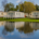 Mobile Home Parks And Recessions: A Primer